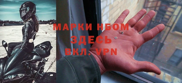 хмурый Арсеньев