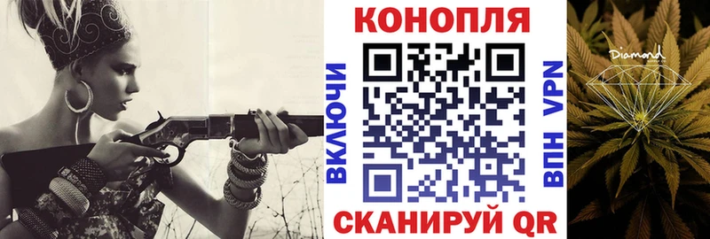 где можно купить наркотик  Артём  Бошки марихуана Amnesia 